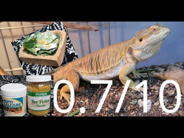 Reptile Chef Makes Gourmet Bearded Dragon Salad! (WILL THEY EAT IT?!?!?!?!)