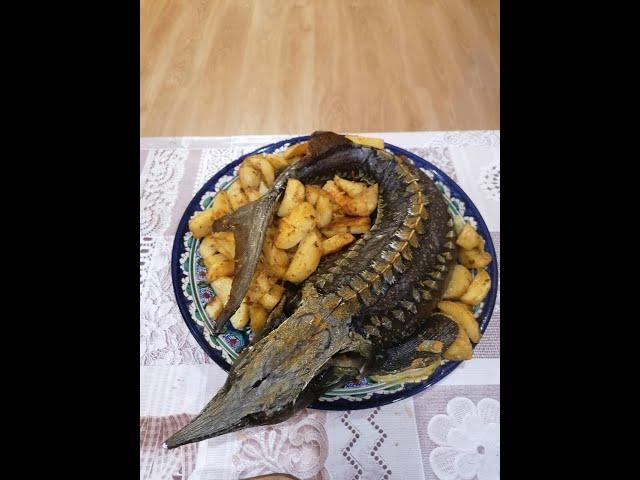 Запеченный в духовке осетр. Вкусный и простой рецепт. Краткое руководство как вкусно запечь осетра