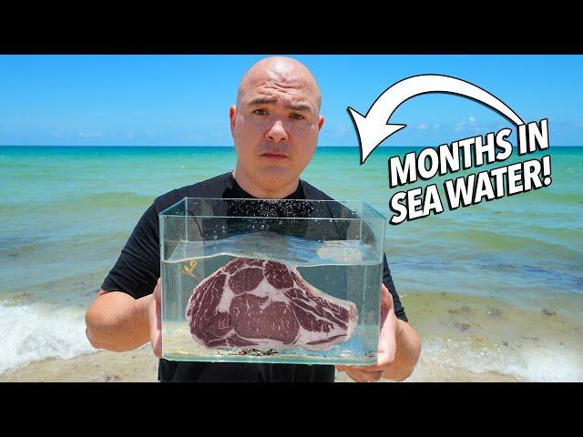 I soaked Steaks in SEA WATER for months and ate it!