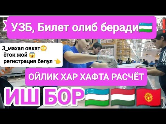 Иш бор 3_махал овкат ёток жой рег бепул УЗБ дан билет олиб беради патент килиб беради