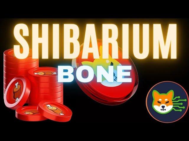 SHIBARIUM PROJECT UPDATES