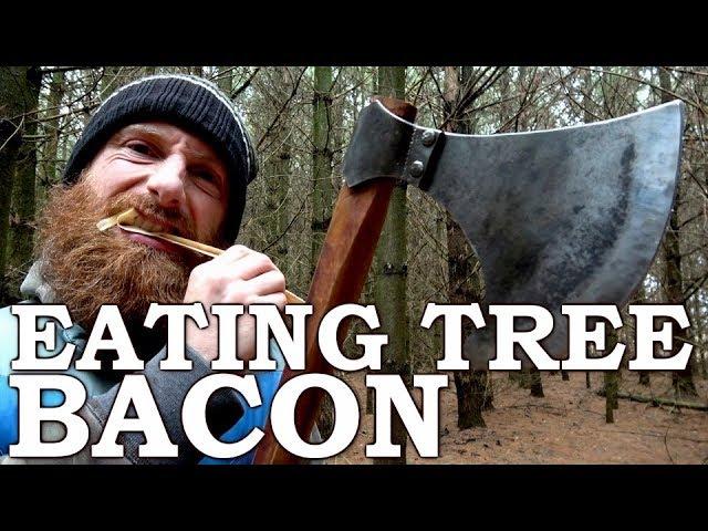 Eating TREE BACON like a BEAVER with Viking AXE! | Cambium Survival Food | Tormund Giantsbane