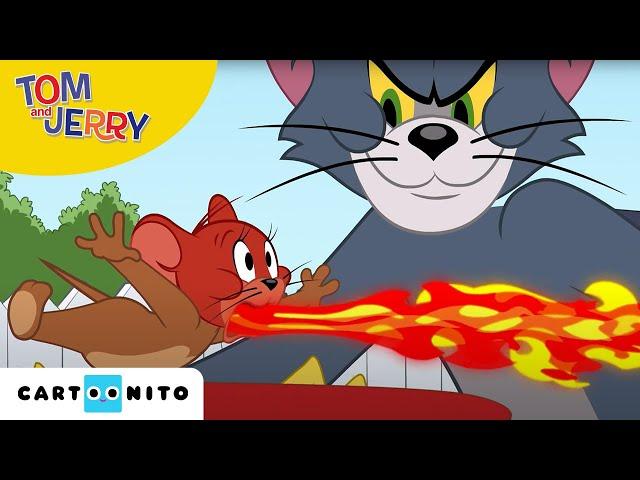 A Tom és Jerry-show | Hőhullám | Cartoonito