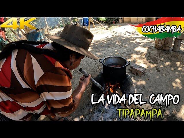 La VIDA del CAMPESINO en BOLIVIA -  Cochabamba sector de TIPAPAMPA