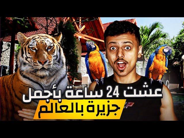 تحدي البقاء بأجمل جزبرة بالعالم 24 ساعة ️