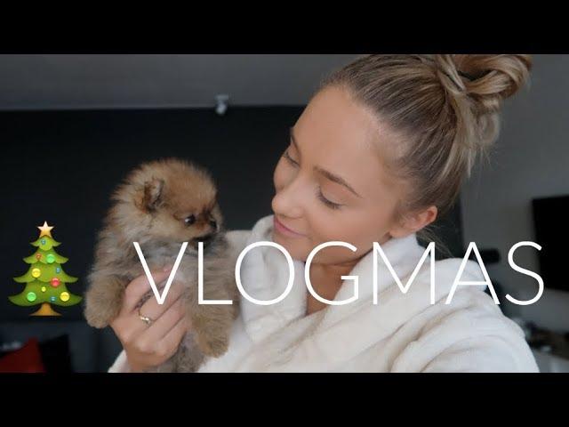 VLOGMAS // 10. desember - hils på vårt nye familiemedlem!