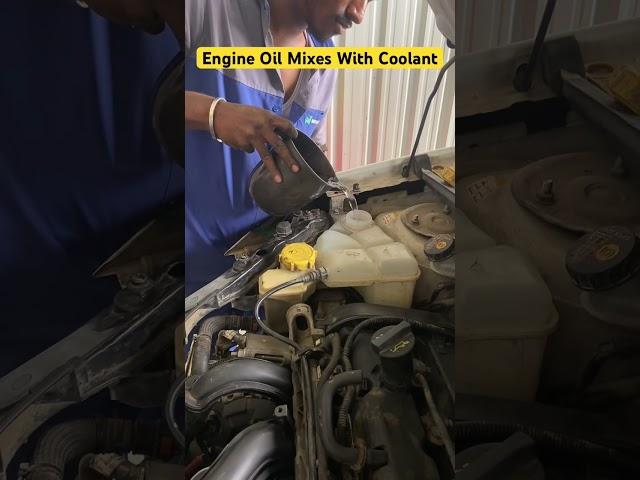 Ford Figo Engine Oil Mixes With Coolant #fordfigo #shorts