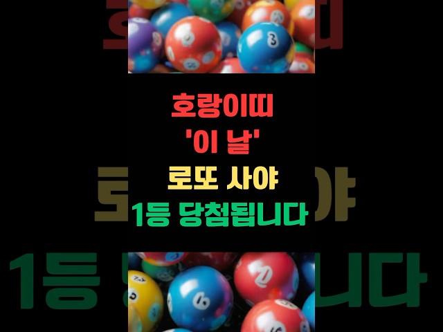 호랑이띠 ‘이 날’ 로또사야 1등 당첨됩니다! #로또 #로또번호 #호랑이띠