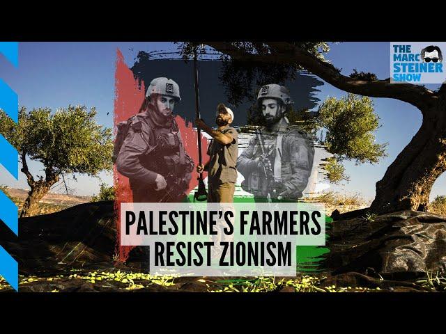 Palestinian olive farmers resist West Bank settlers w/Cyrus Copeland | The Marc Steiner Show