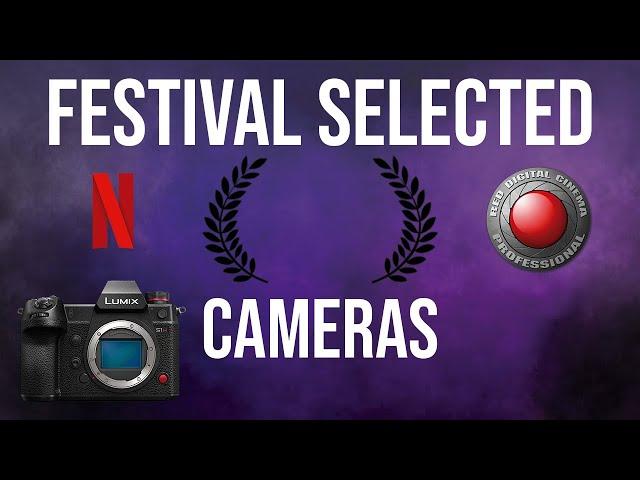 Best Film Cameras For Beginners | 2022