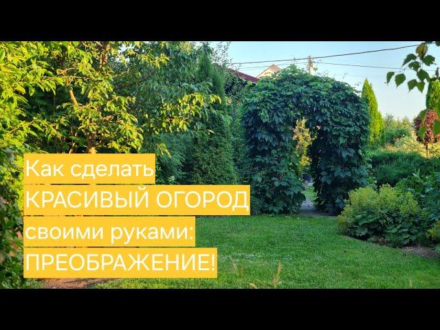 Как сделать КРАСИВЫЙ ОГОРОД своими руками: ПРЕОБРАЖЕНИЕ огорода!