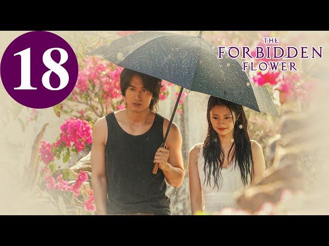 ENG SUB | The Forbidden Flower | EP18 | 夏花 | Jerry Yan, Xu Ruohan