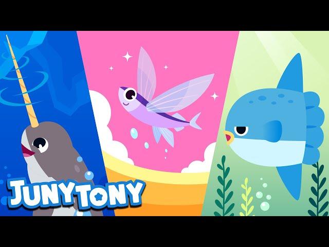 Awesome Sea Animals | Meet Sea Animal Friends | Animal Song for Kids | Kindergarten Song | JunyTony