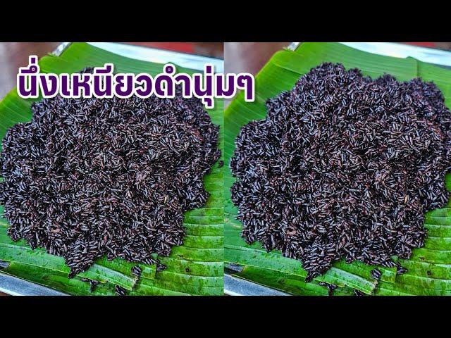 นึ่งข้าวเหนียวดำนุ่มๆ |แค่เลchannel