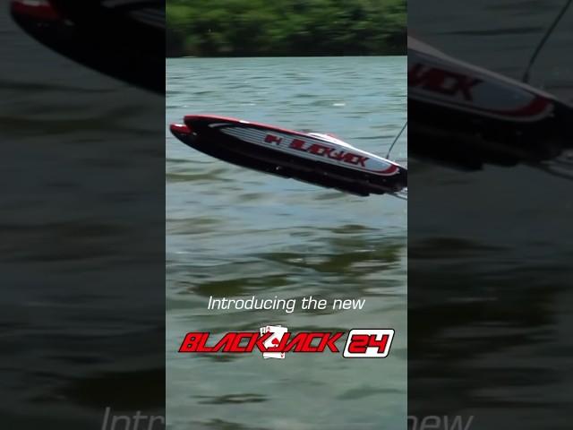 NEW @proboatmodels Blackjack 24” Catamaran RC boat #rccatamaran