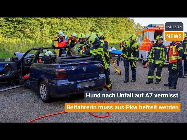 FULDA: Schwerer Unfall auf der A7 - Beifahrerin muss befreit werden - Hund aus Auto entlaufen