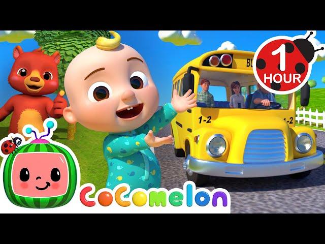 [ 1 HOUR LOOP ] Wheels On The Bus! | Fun Learning Cocomelon Loops | Nursery Rhymes & Kids Songs