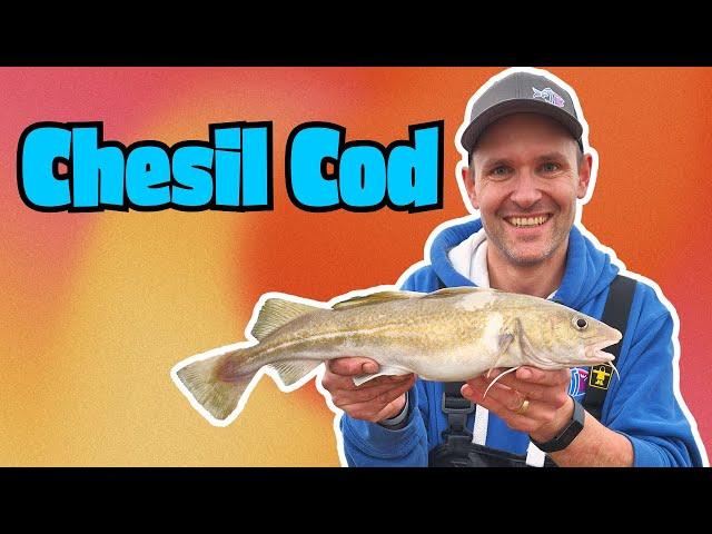 Chesil Beach Cod Fishing with The Shore Hunter