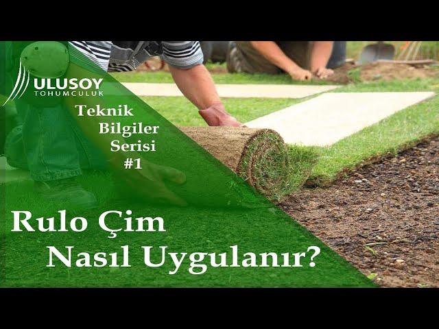 Rulo Çim Nasıl Uygulanır? Teknik Bilgiler Serisi #1