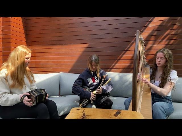 The Gold Ring on harp, concertina  and Uileann Pipes