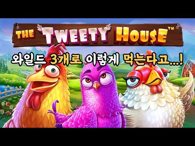 "슬롯머신" 프라그마틱 [트위티하우스] 닭집슬롯  The Tweety House Slots