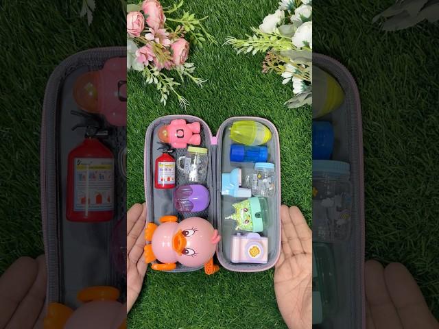 Filling pencil box with different types of sharpenercute sharpener, pencil sharpener