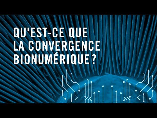 Qu'est-ce que la convergence bionumérique?