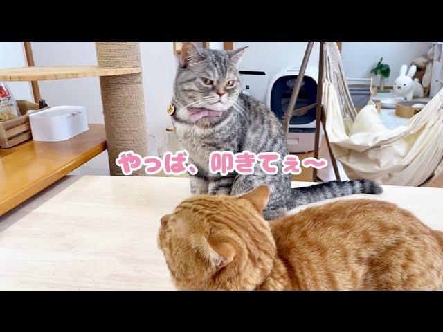 ポッポ『あぁ〜ポクポク叩きてぇ〜！』