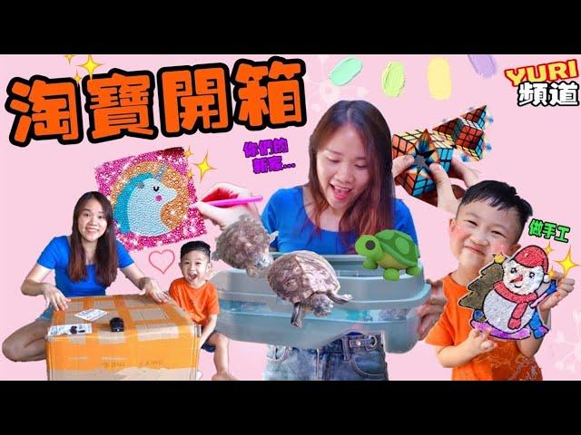 ‘’淘寶開箱‘’ DIY手工+ 懒人筷子+ 烏龜的新家 【YURI頻道】