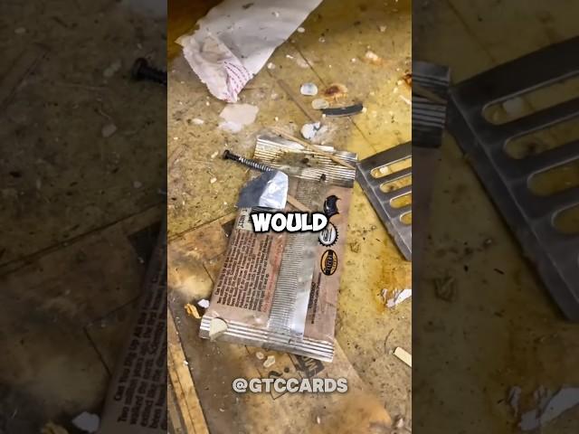 Man Finds Hidden Vintage Packs In Target  Pokemon Card Edit