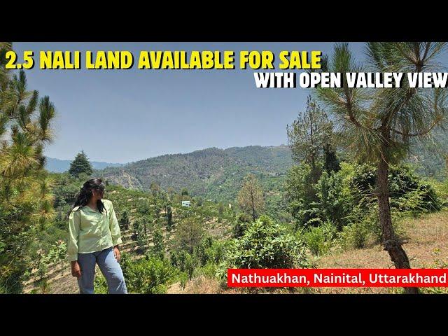 Plot In Nathuakhan: 2.5 Nali Land Available}Nathuakhan|Nainital|600sq.Yards|UttarakhandProperty.com