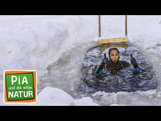 Eisbaden am Polarkreis | Reportage für Kinder | Pia und die wilde Natur