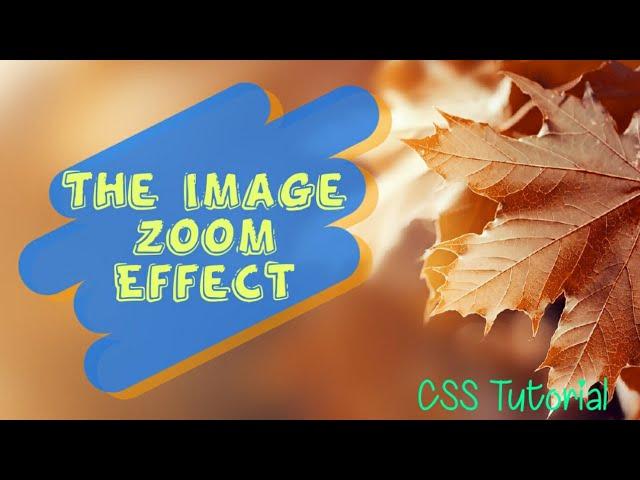 The Image Zoom Effect - CSS Tutorial | 2020