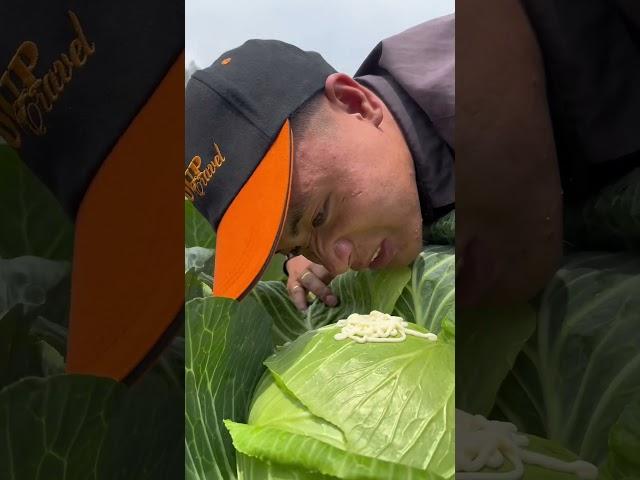 Rau cải tại vườn gặm một miếng hết sảy luôn #sapa #thittraugacbep #nangdausapa