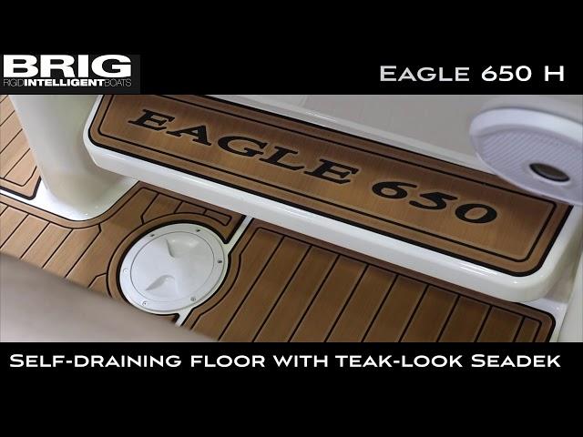 BRIG Eagle 650