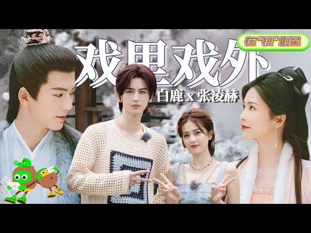 【Bai Lu x Zhang Linghe】Difference Within and Outside of Drama| Story of Kunning Palace |宁安如梦| iQIYI