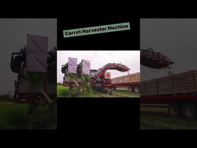 High-Tech मशीन  Carrot Harvesting #किसान