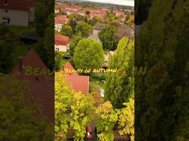 Beauty of AUTUMN-GERMANY#Yedukondalu Gangisetty#shorts#nature#life#youtube#travel#color#leaves