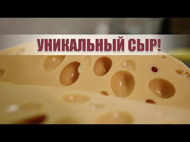 Возили молоко на лошадях! // Про поэтапное производство сыра | Поставский молочный завод