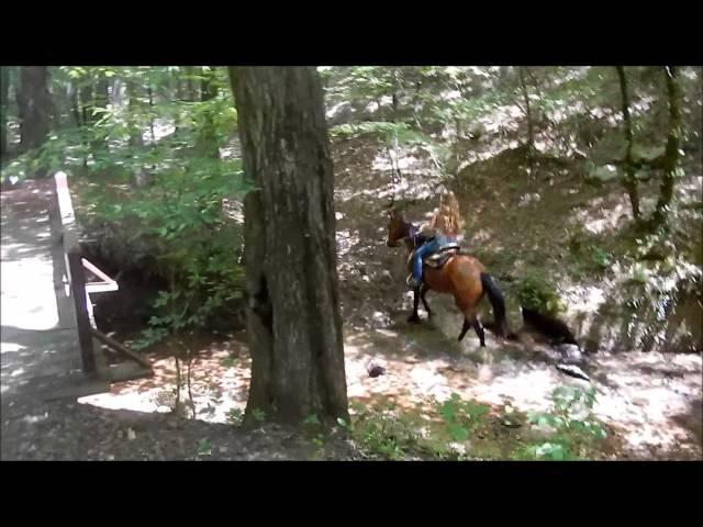 Gypsy barrels, trails, western