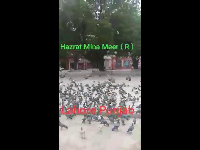 Hazrat Mina Meer Sab ( R ) Lahore punjab / New Video