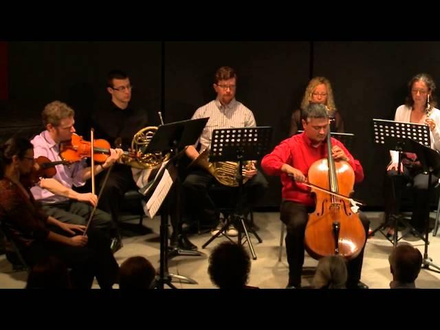1st Mvt. Haydn Cello Concerto No 2