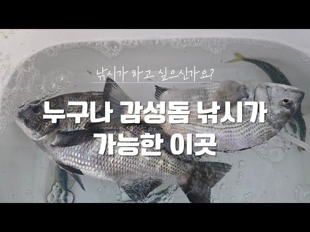 누구나 낚시 가능한 거제 방파제 감성돔 낚시 포인트