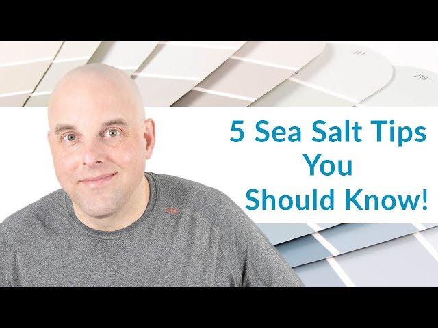 5 Sherwin Williams Sea Salt Tips Everyone Should Know!