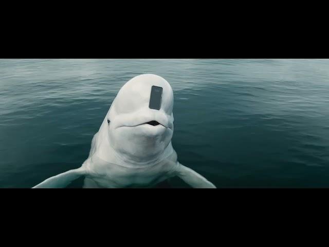 Genius Beluga [OFFICIAL] - NerdWallet Big Game Commercial 2025