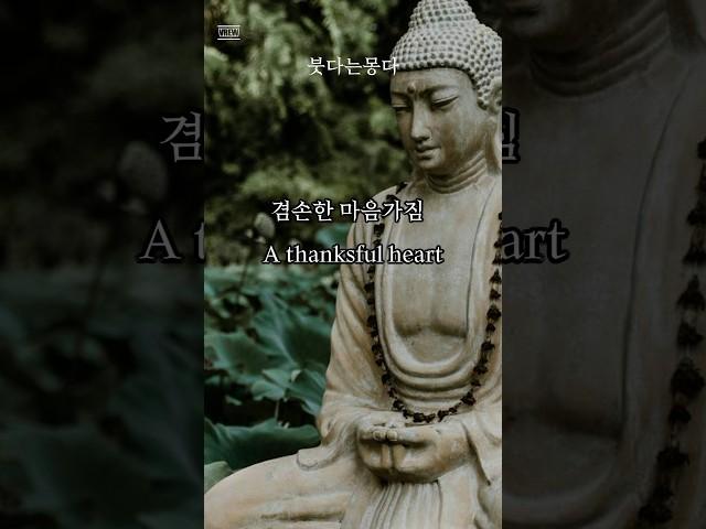 불교 부처님말씀 에피소드 겸손한마음 #붓다 불교명상과 명언 #buddha #happiness