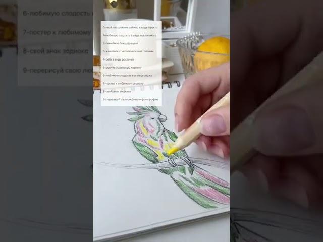 Идеи для рисования ️‍Что тебе попалось?