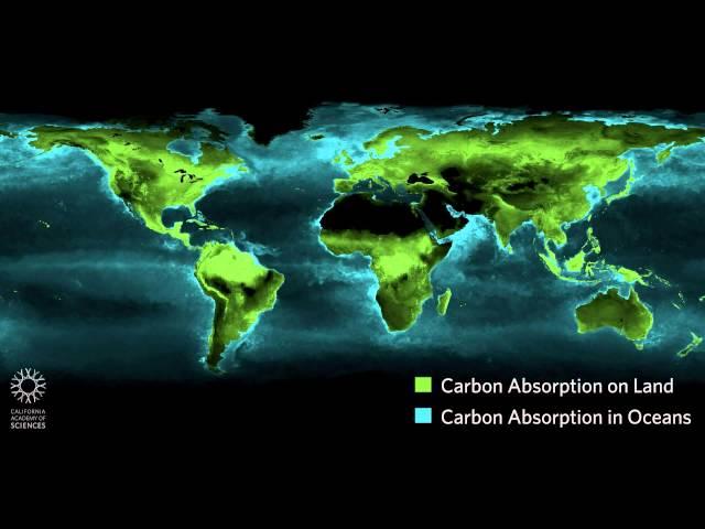 Timelapse: Photosynthesis Seen from Space (Educator Version) | California Academy of Sciences