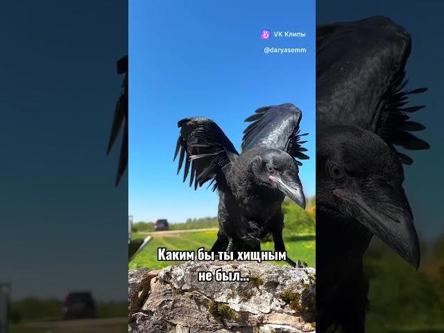 ТОЛЬКО МАМА ЗНАЕТ КАКОЙ ТЫ ВНУТРИ 
