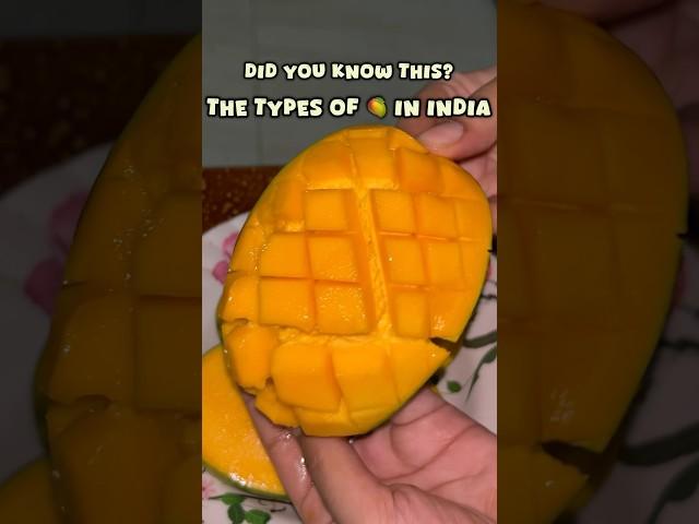 Types of Mangoes In India #mango#indianmango#summerseason#mangoseason#mangotreat#shorts#yummy